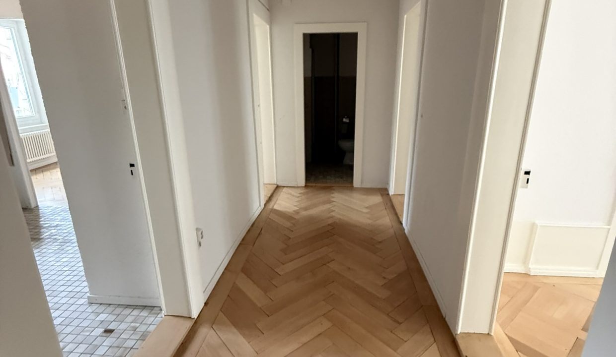 photos du 18.02.2026 (14)